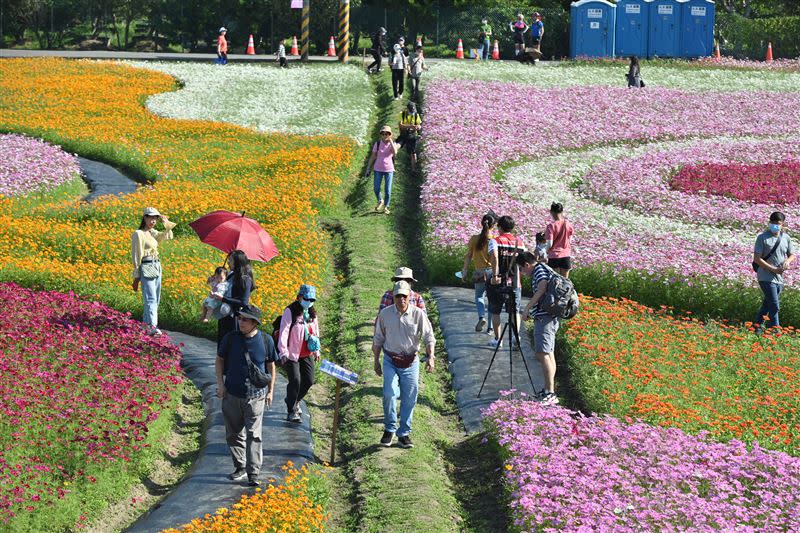 2022桃園花彩節總計約7公頃，以「花宇奇航」為主題。（圖／桃園市政府農業局提供）