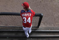 Washington Nationals prospect Bryce Harper hangs out in the dugout during spring training baseball, Thursday, March 1, 2012, in Viera, Fla. (AP Photo/Julio Cortez)