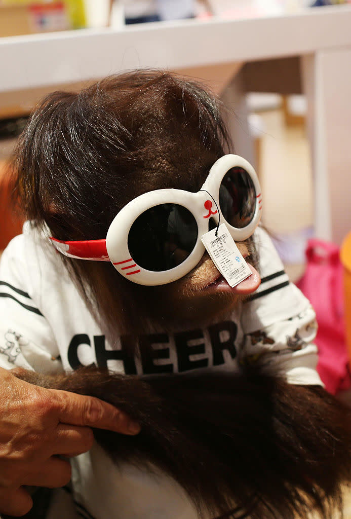 Three-year-old Er Mao tries on sunglasses at a shopping center in China. (Photo: Getty Images)