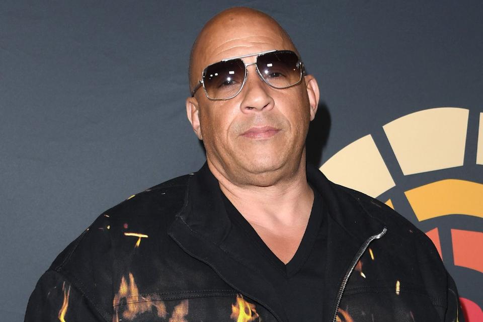 <p>Steve Granitz/FilmMagic</p> Vin Diesel