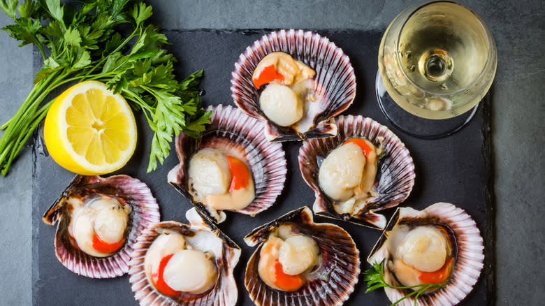 raw scallops on shells with glass of white wine
