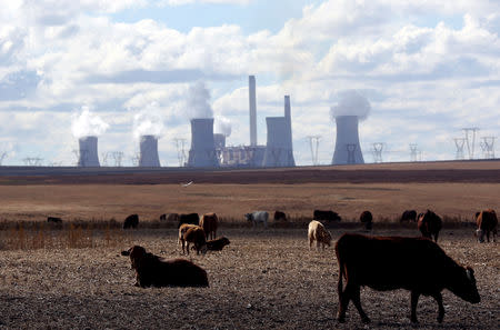 FILE PHOTO: Cows graze as steam rises from the cooling towers of Matla Power Station, a coal-fired power plant operated by Eskom in Mpumalanga province, South Africa, May 20,2018. REUTERS/Siphiwe Sibeko/File Photo