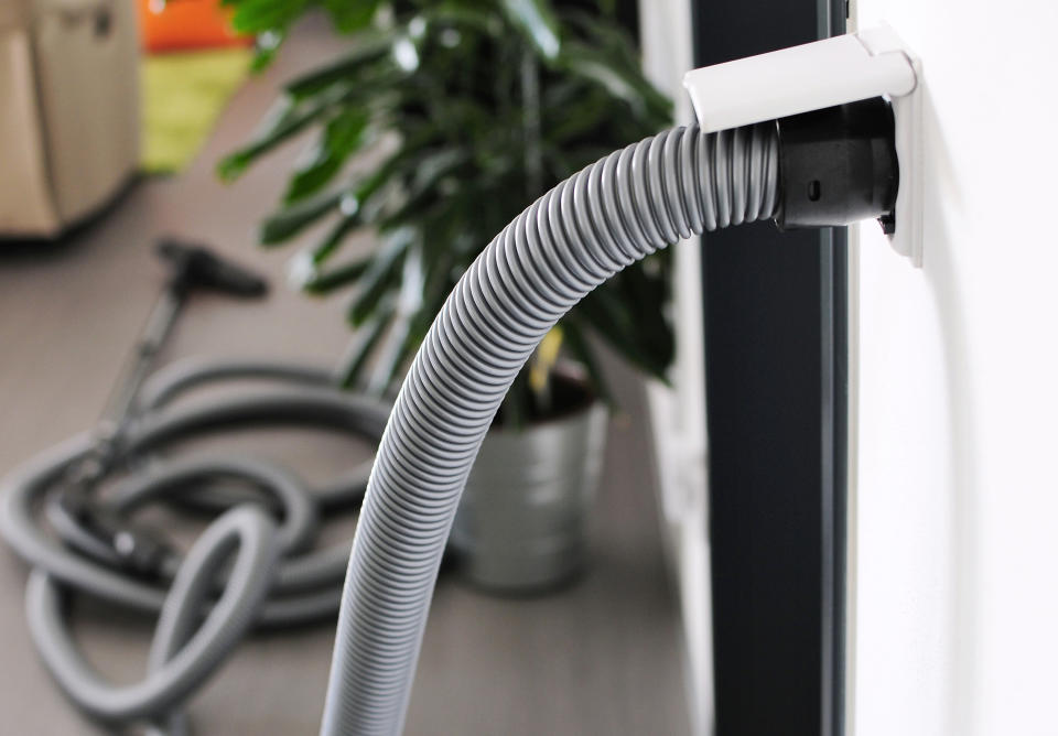 A vacuum hose is plugged into a wall outlet with a connected vacuum in the background, near a potted plant