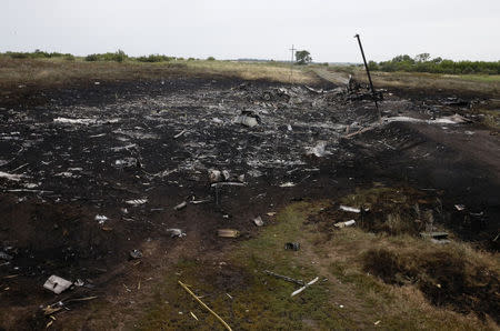 Debris is pictured at the site of Thursday's Malaysian Airlines Boeing 777 plane crash, near the village of Grabovo in the Donetsk region July 18, 2014.REUTERS/Stringer