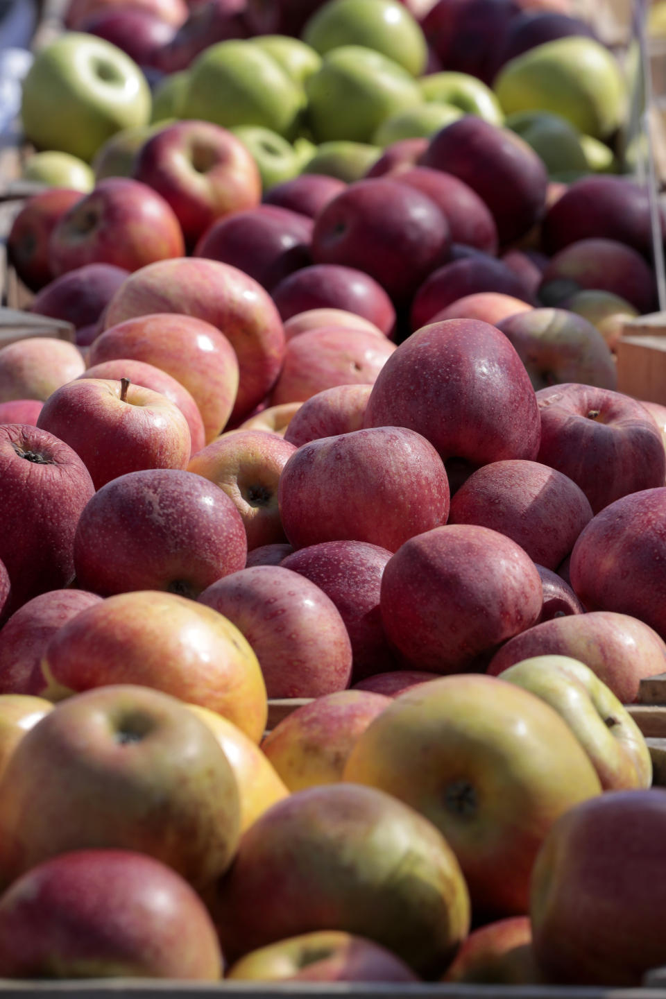 FILE - This March 11, 2017 file photo shows apples on display at a farmers market in Falls Church, Va. Regardless of whether you are picking them at the market or off a tree, there are so many great things to do with apples that don’t include making a pie. (AP Photo/J. Scott Applewhite, File)
