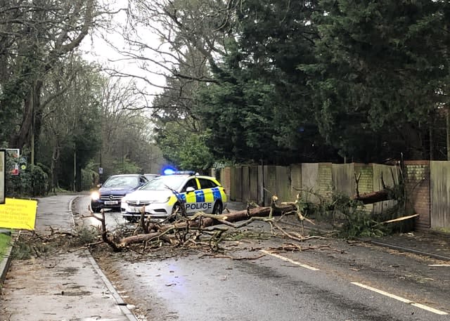 Police attend the scene of a fallen tree blocking Furze Platt Road, Maidenhead 