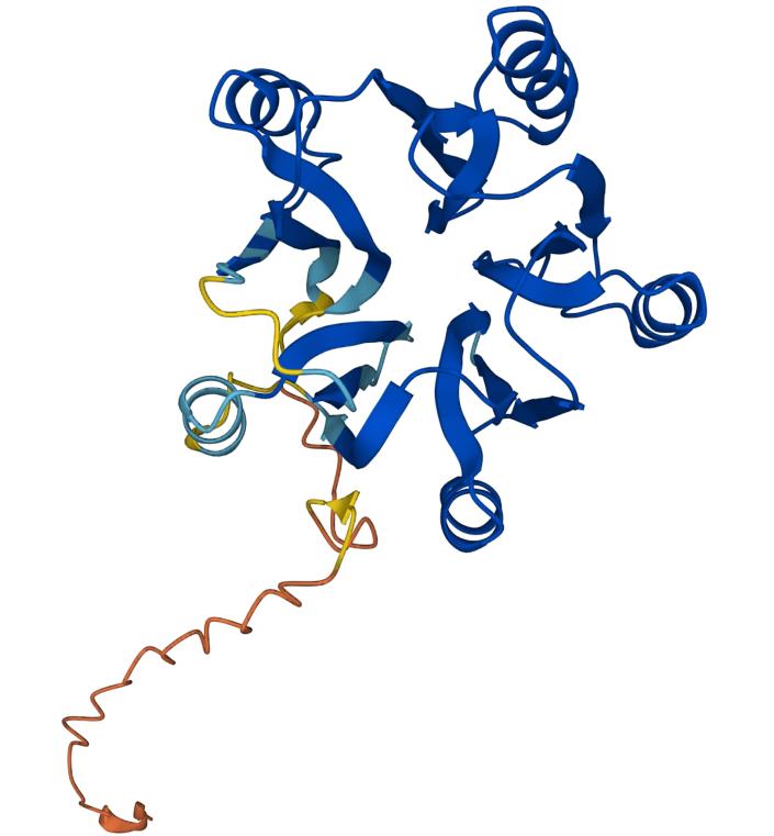 AlphaFold's prediction for the structure of the F20H23.2 protein.  (deep mind)