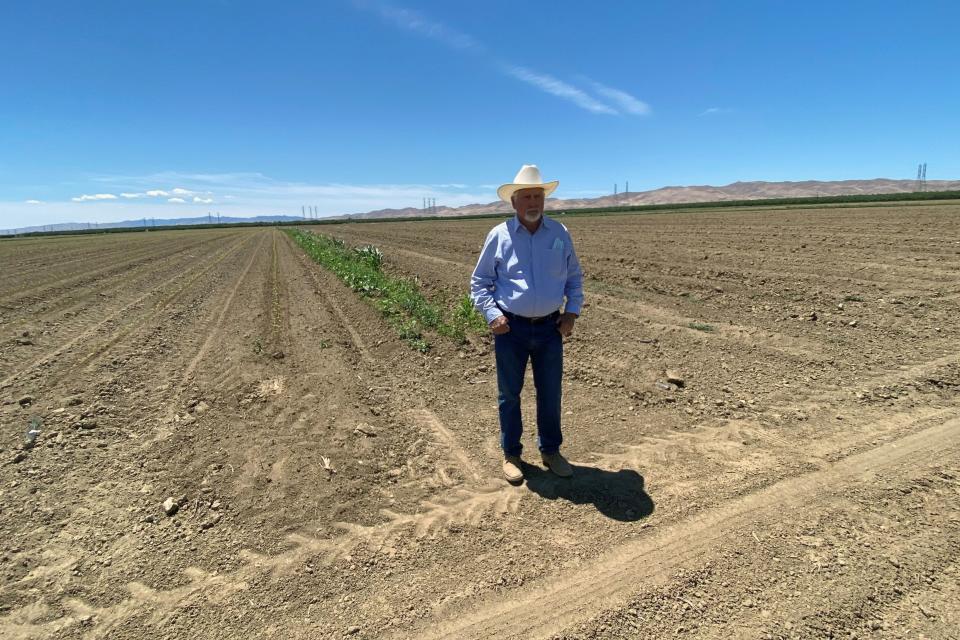 Farmer Joe Del Bosque stands in between a fallow field and a field and a newly planted field of melons in Firebaugh, Calif.