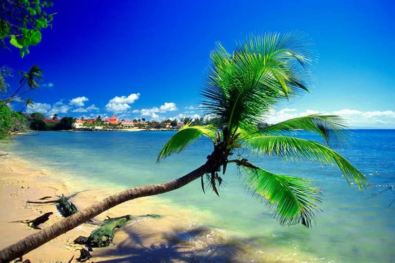 The beautiful beach situated at Pigeon Point, Tobago