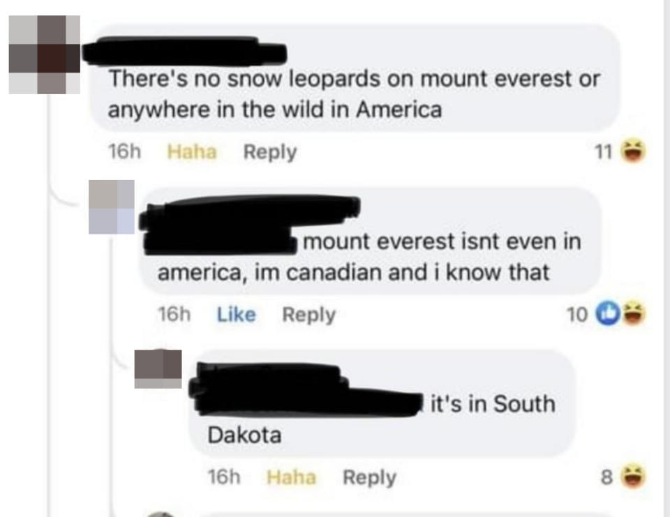A commenter saying that Mount Everest is in South Dakota