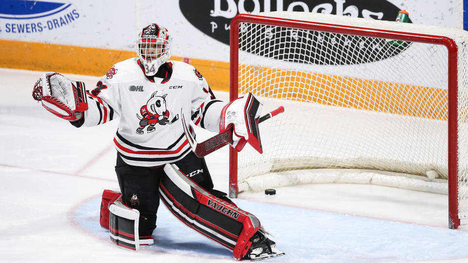 Josh Rosenzweig was one of two Niagara IceDogs players banned from the OHL. (Photo by Chris Tanouye/Getty Images)