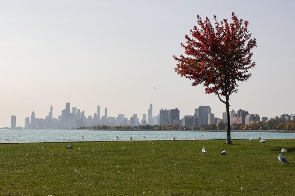 View of Lake Michigan and the city skyline in Chicago, United States on October 14, 2022.