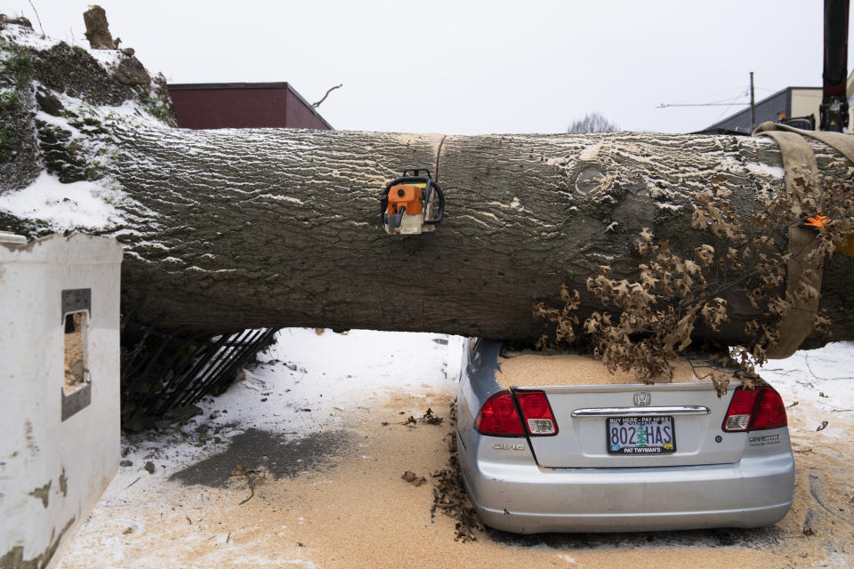 A chainsaw rests in a downed tree as workers pause cutting on Saturday, Jan. 13, 2024, in Portland, Ore. (AP Photo/Jenny Kane)