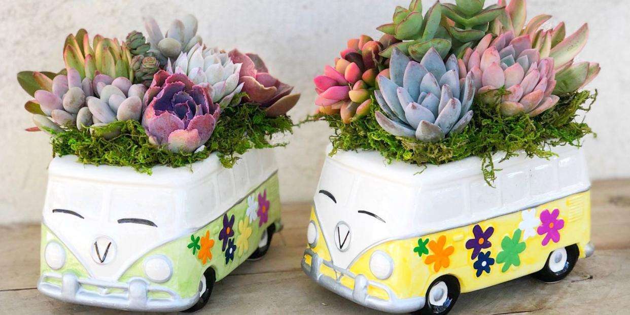 Photo credit: Etsy Succulent Artworks