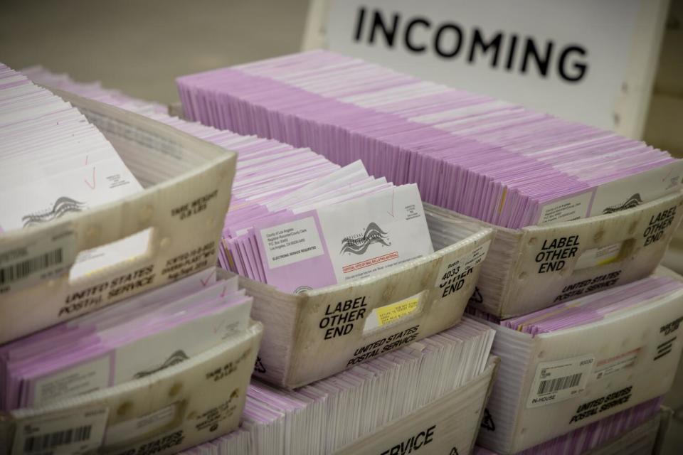 Ballots arranged in trays