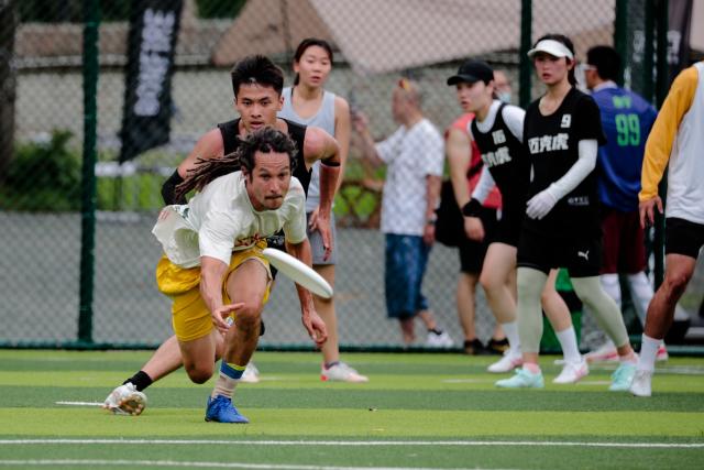 Las razas que más disfrutan el jugar con un frisbee - Consejos Miscota