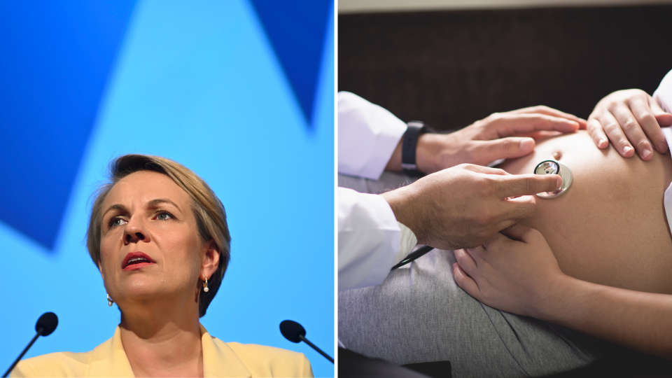 Left: Shadow minister for women Tanya Plibersek. <em>(Photos: AAP, Getty)</em>