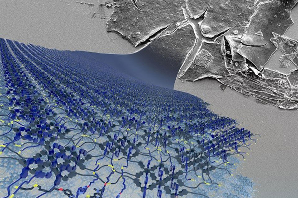 Das feinste Gewebe der Welt könnte in vielen Bereichen von großem Nutzen sein. (Bild: University of Manchester)