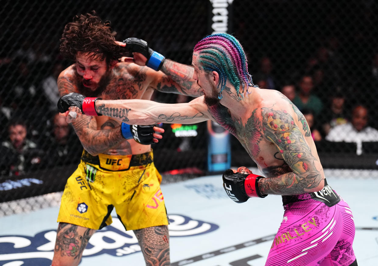 Sean O'Malley (right) punches Marlon Vera during the UFC bantamweight championship fight during on Saturday in Miami. (Photo by Chris Unger/Zuffa LLC via Getty Images)