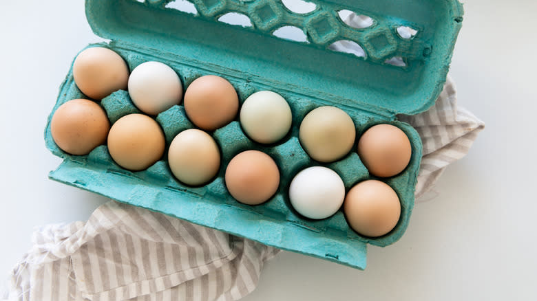 eggs in teal carton