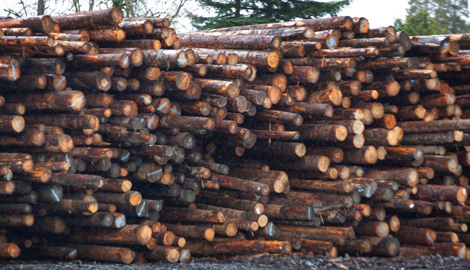 Logs are seen at the Rosboro lumber mill in Springfield.