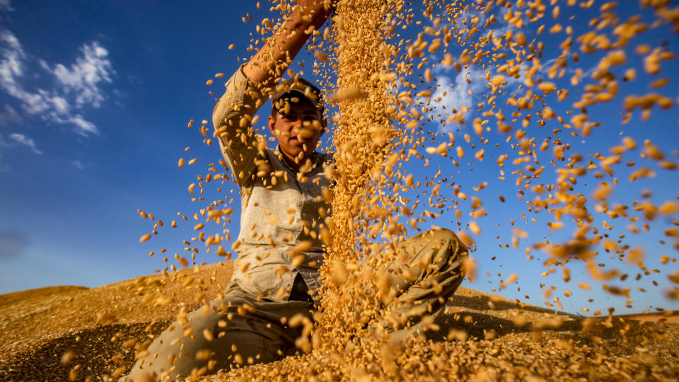 A farmer