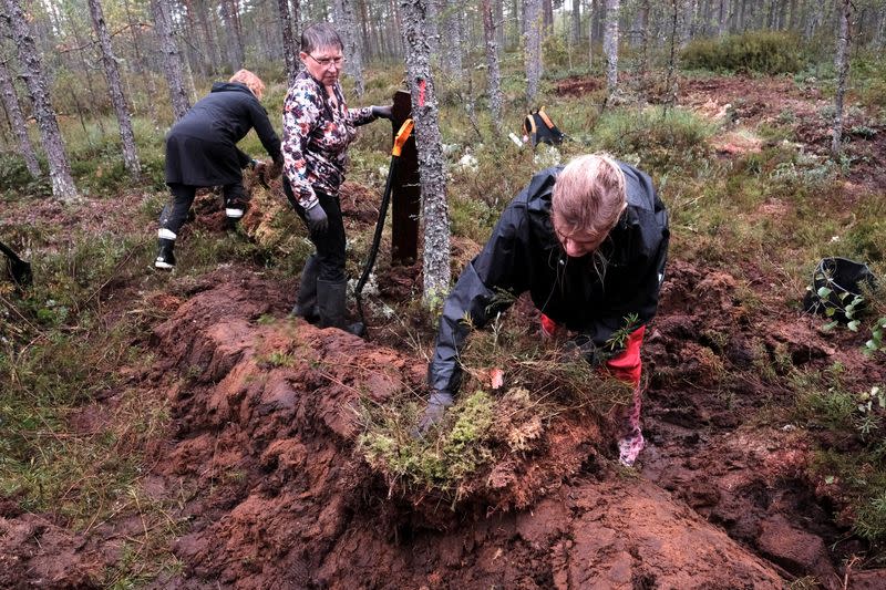 Volunteers build a dam to restore bog near Palmse