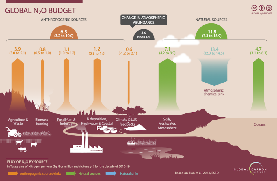 Die Abbildung des globalen N2O-Budgets zeigt Emissionsquellen