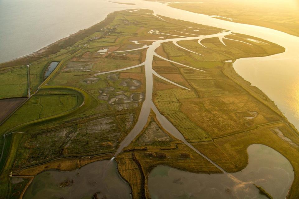 Sir James will cite Steart Marshes on the Severn Estuary as an example of how habitat restoration can benefit humans (WWT/PA) (PA Media)