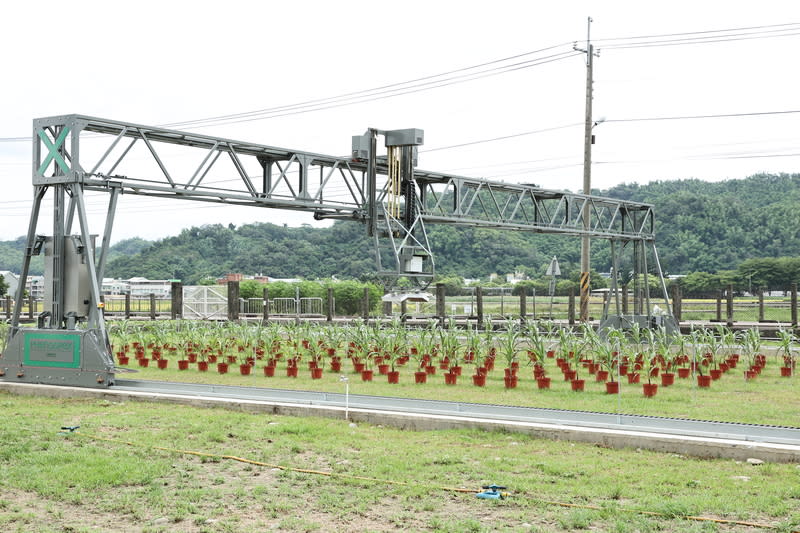 農試所建置植物表型體分析系統（1） 面對全球氣候變遷挑戰，農業部農業試驗所斥資建置 「國家植物表型體分析系統」，在鄰近田區設置可分 析5000株作物的荷蘭Phenospex FieldScan系統，搭載雷 射多光譜掃描器。 （農業試驗所提供） 中央社記者蘇木春傳真  113年6月12日 