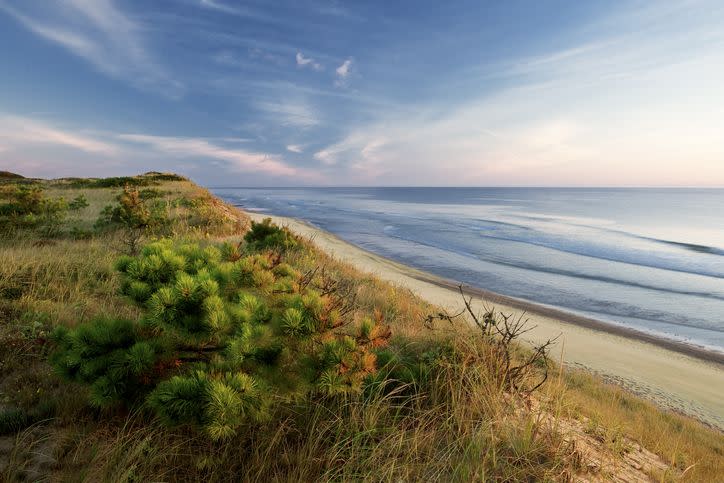 marconi beach, wellfleet