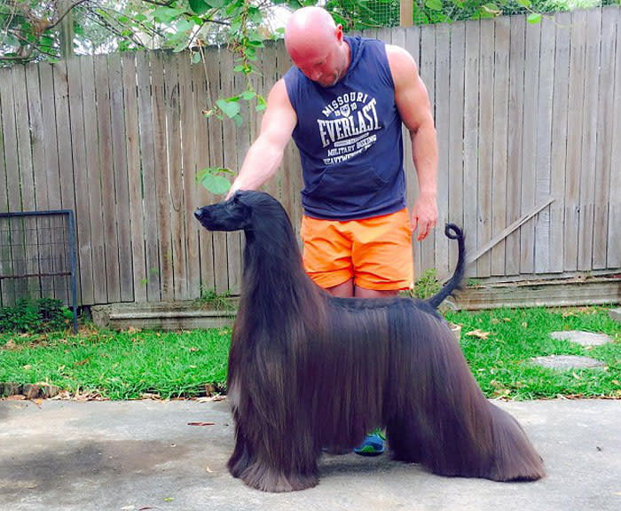 Su dueño se llama Lucas Kavanagh y es originario de Oyster Bay (Estados Unidos), pero ahora vive en Sídney (Australia). Desde siempre, supo que poseía una mascota “demasiado bonita para tener en casa”, contó al diario Daily Telegraph.