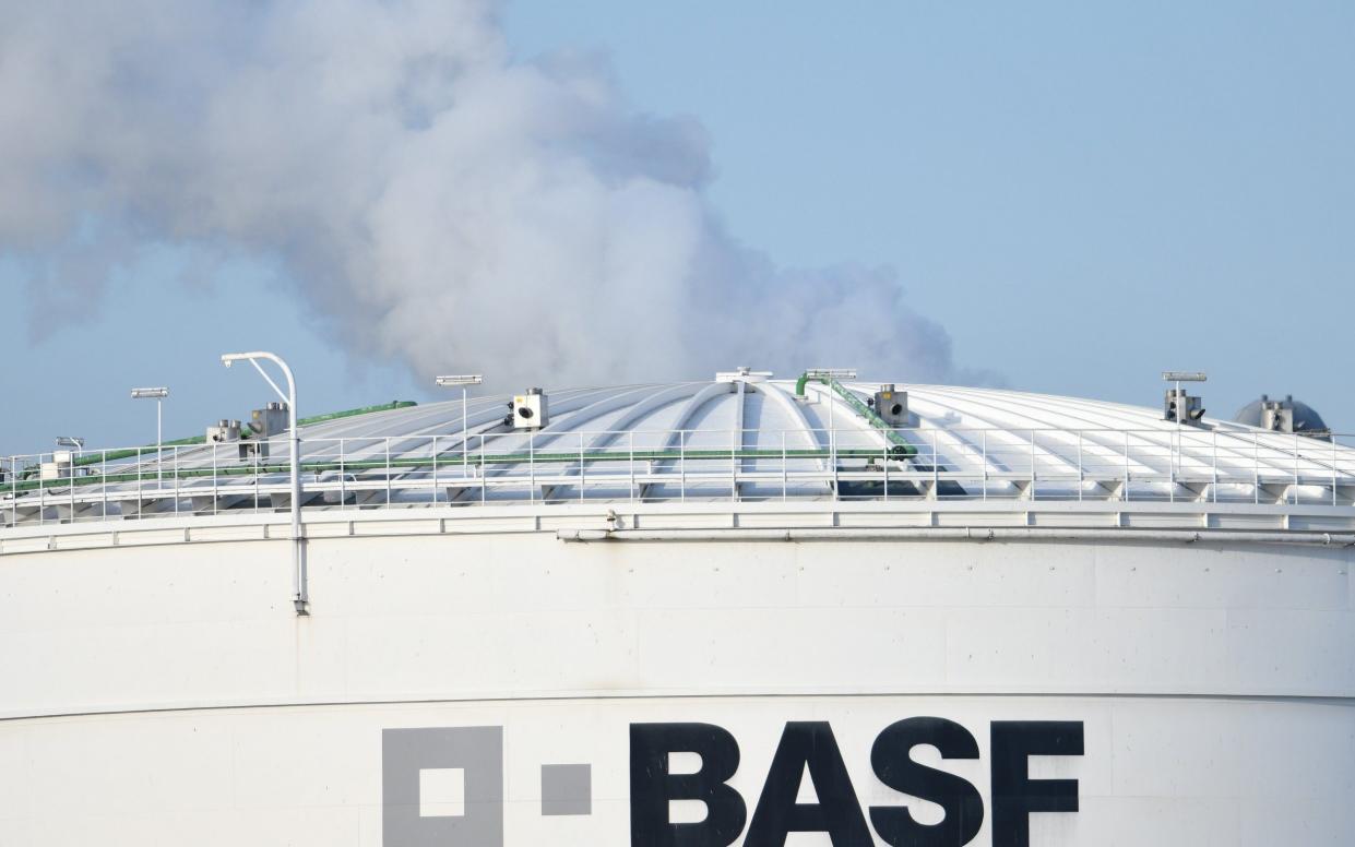 A plant at the BASF headquarters in Ludwigshafen am Rhein, Germany