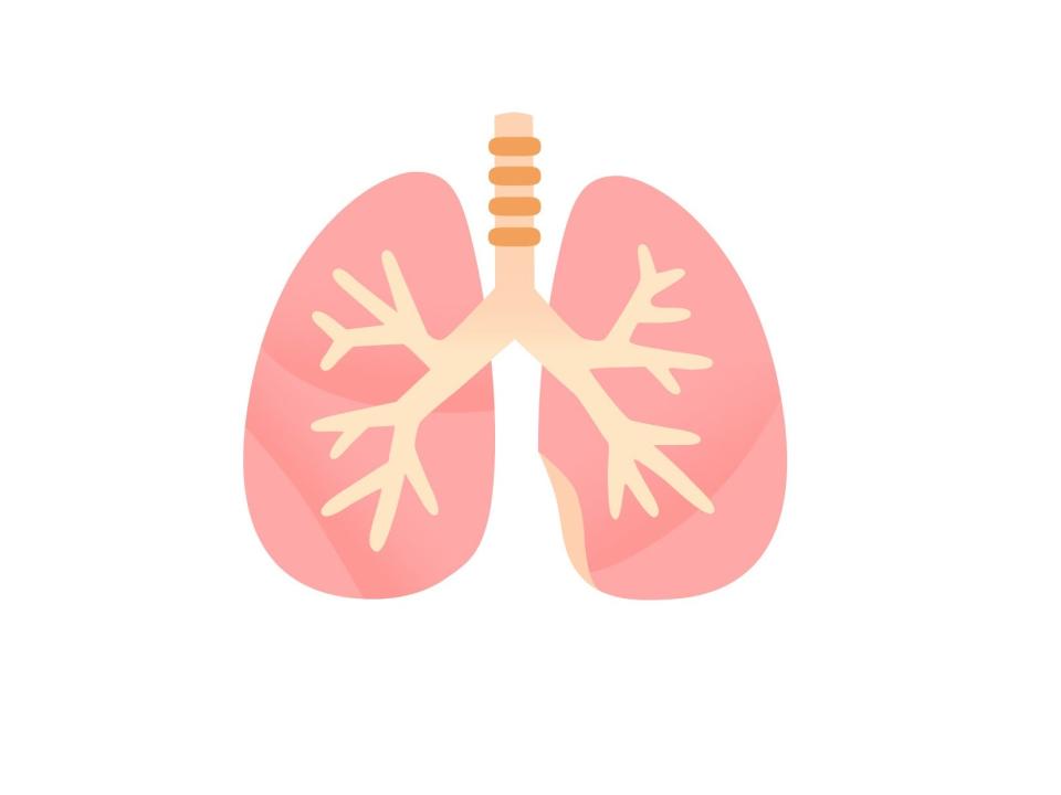 lungs