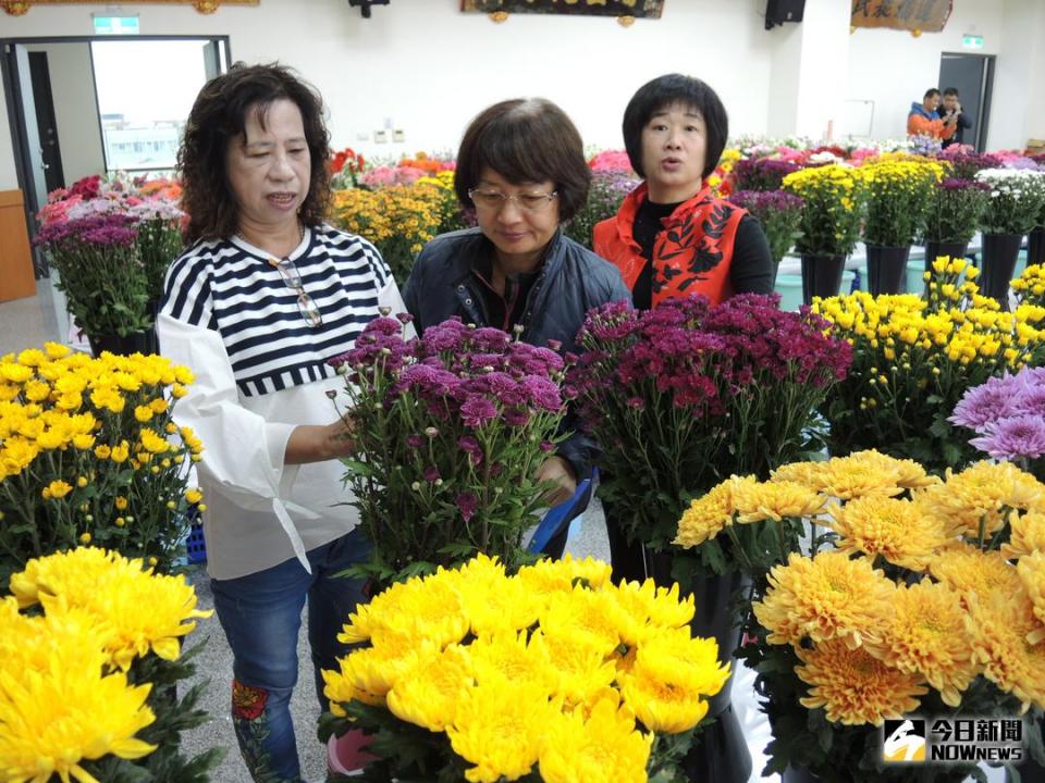 ▲以花卉苗木產業聞名的永靖鄉舉行花卉評鑑，評鑑現場百花爭艷、美不勝收。（圖／記者陳雅芳攝，2017.12.07）