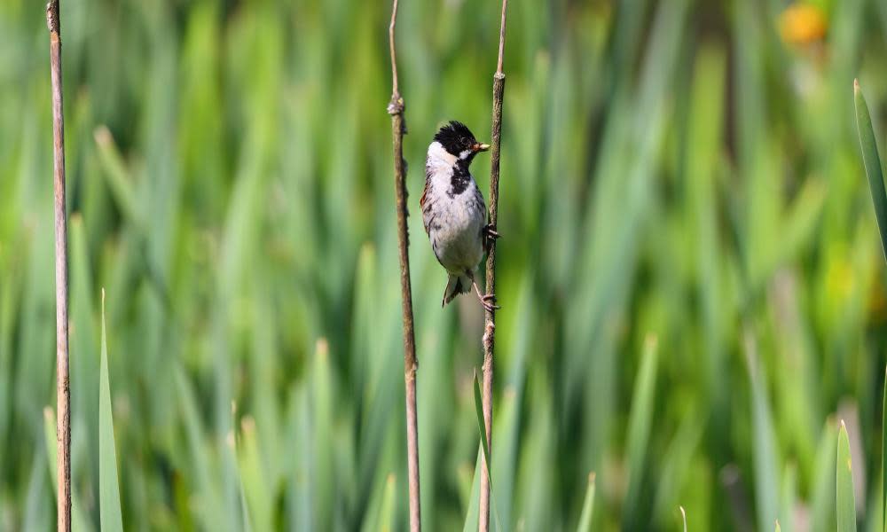 <span>Photograph: Alamy</span>