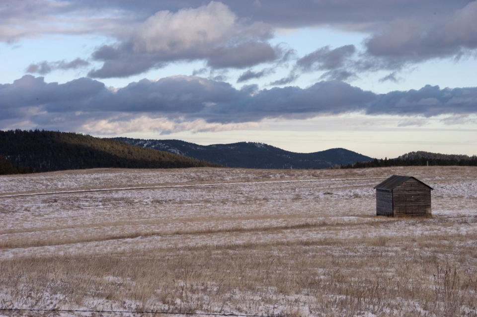 FILE - This 2007 file photo provided by South Dakota Magazine shows Reynolds Prairie in the Black Hills of South Dakota. An online campaign to raise money so Native American tribes in South Dakota can purchase land they consider sacred has gained steam with a growing list of celebrities backing the effort. P Diddy and Bette Midler have tweeted their support for the effort to purchase nearly 2,000 acres in the Black Hills of South Dakota. They join actor Ezra Miller and hip-hop producer Sol Guy, who appeared in a recent video online with drawing attention to the effort. (AP Photo/courtesy South Dakota Magazine, Bernie Hunhoff, File)