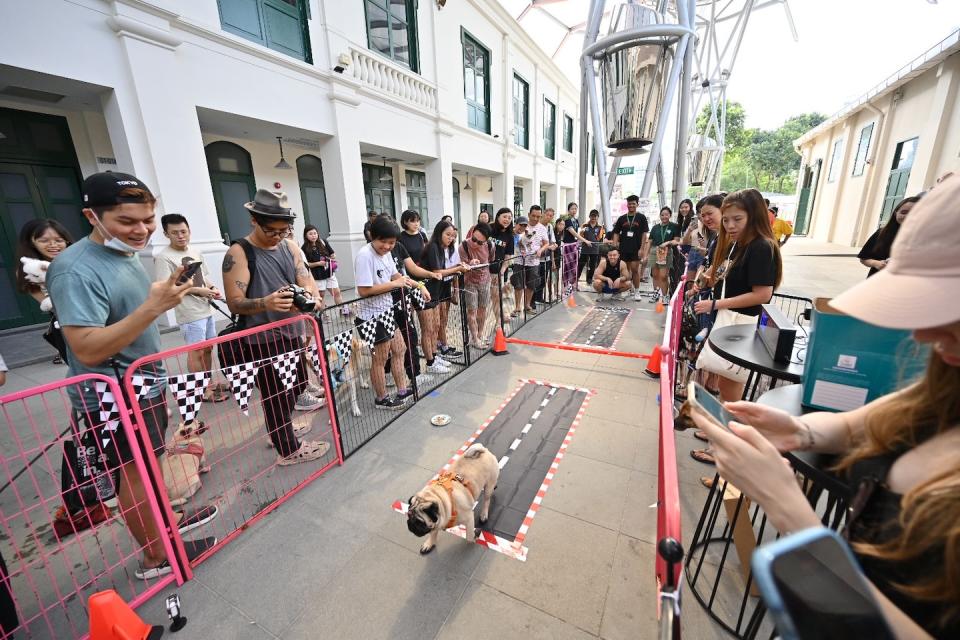 Pet-friendly event at GPSS Fitness Fest last year (Photo: CQ @ Clarke Quay)