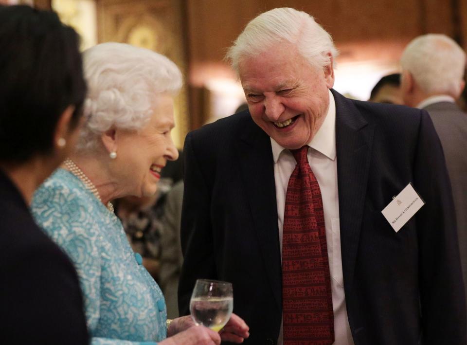 Britain's Queen Elizabeth II (L) reacts as she talks with television presenter David Attenborough during an event at Buckingham Palace in central London on November 15, 2016, to showcase forestry projects that have been dedicated to the new conservation initiative - The Queen's Commonwealth Canopy (QCC). / AFP / POOL / Yui Mok        (Photo credit should read YUI MOK/AFP via Getty Images)