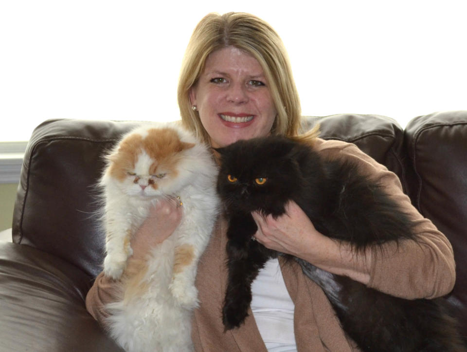 This Sunday March 3,2013 photo released by High Paw Media showing Caroline Golon of Columbus, Ohio, with her two Persian cats, Romeo, 9, and Pugsley, 8, right. She started thinking about cleaning products before the kids were born when she noticed how often the cats jumped between floors and counters. She read about green, organic and natural cleaners. Today, she uses only unscented green products or vinegar and water. She uses a water-only steam mop on floors and washes the cats' dishes and litter boxes with hot water and green dish soap. (AP Photo/High Paw Media)