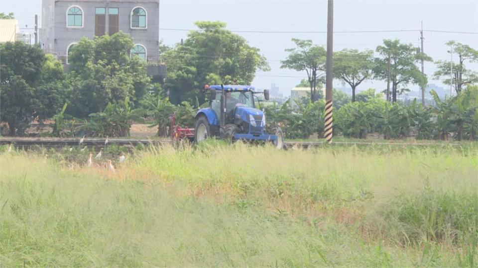 梅雨挹注！烏山頭水庫放水供灌　農民急翻土、育苗憂影響收成