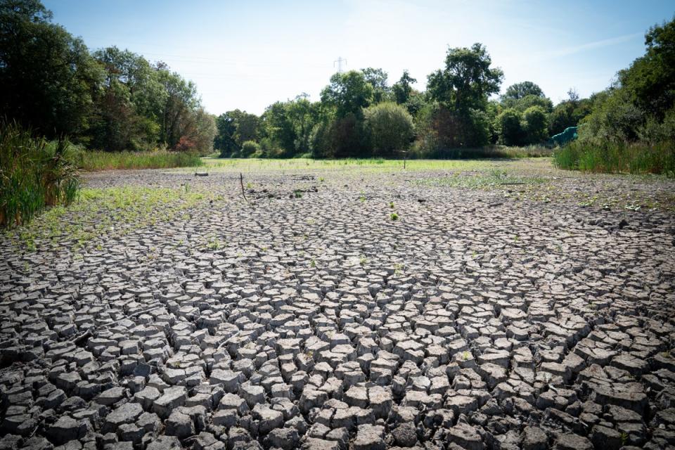 A dried-up lake in Wanstead Park, north-east London (Stefan Rousseau/PA) (PA Wire)