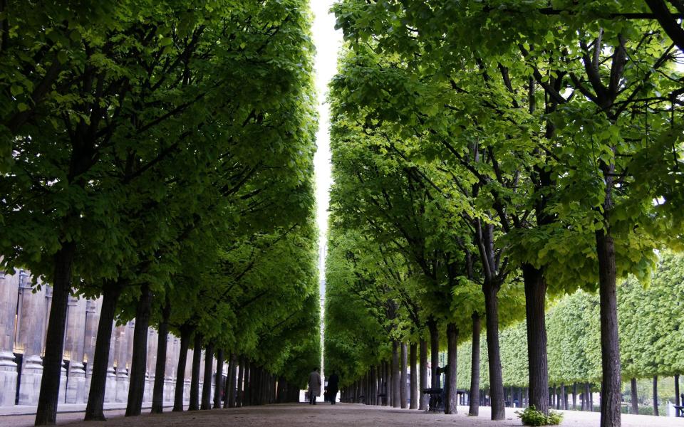 Palais Royal Paris 