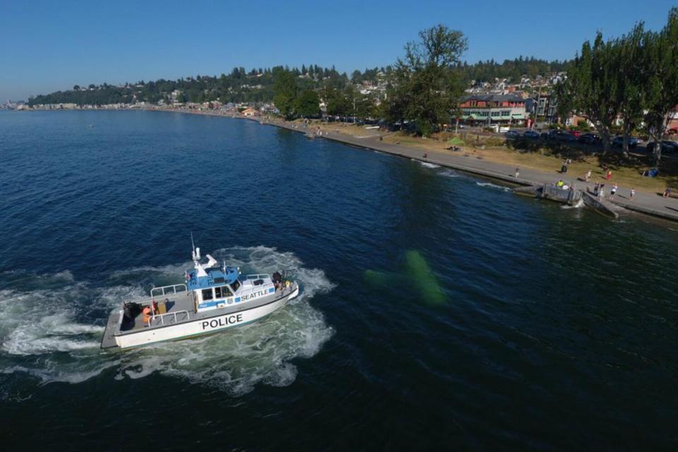 The Coast Guard responds to a plane that crashed in the Puget Sound near Alki Point in Seattle July 26, 2022. The person aboard the plane reportedly swam to shore in stable condition.