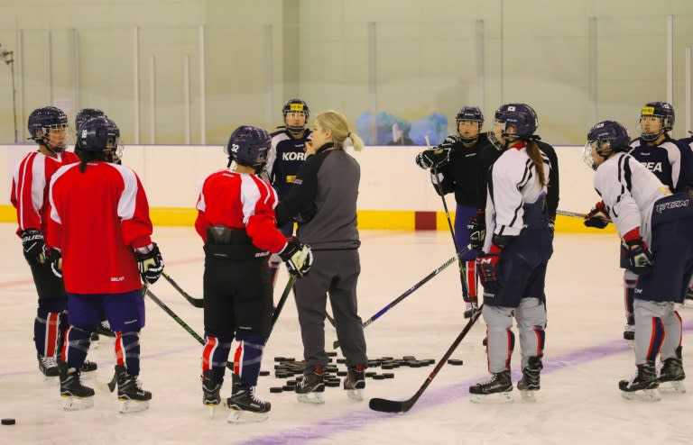 The ice hockey squad is made up of 23 South Korean players and 12 Northerners