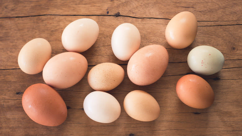 Eggs of different sizes and colors