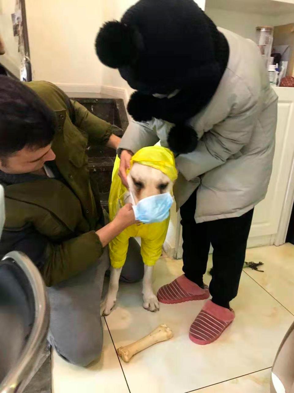 Doug Perez and his girlfriend get their dog ready for a walk in Wuhan