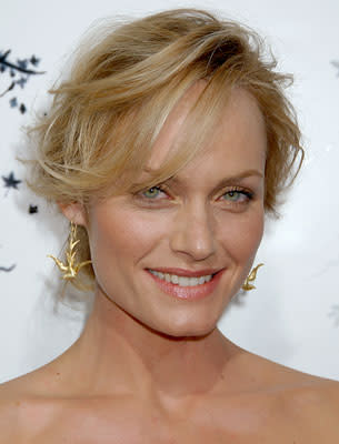 Amber Valletta at the Hollywood premiere of TriStar Pictures' Premonition