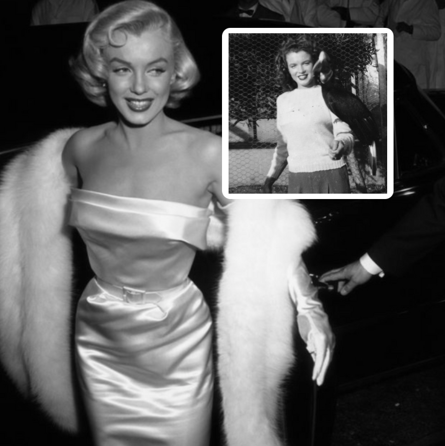 17 Photos of Old Hollywood Stars Before They Were Famous