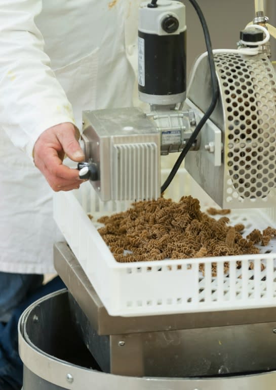 An employee of the L'Atelier a pates ('The pasta shop') makes a special type of pasta, made from flour of insects (locusts or crickets), in Thiefosse, eastern France